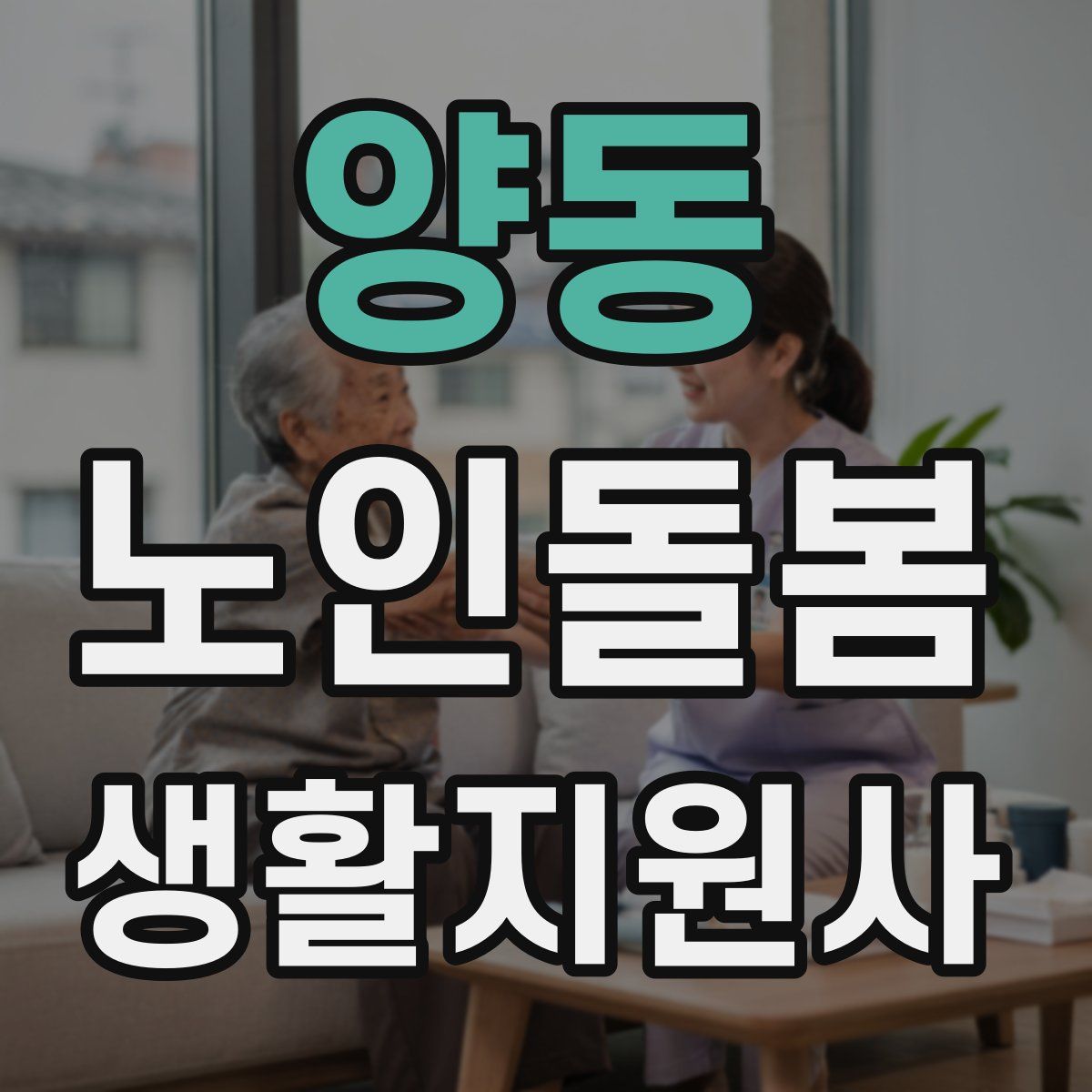 양동 노인돌봄생활지원사 자격증