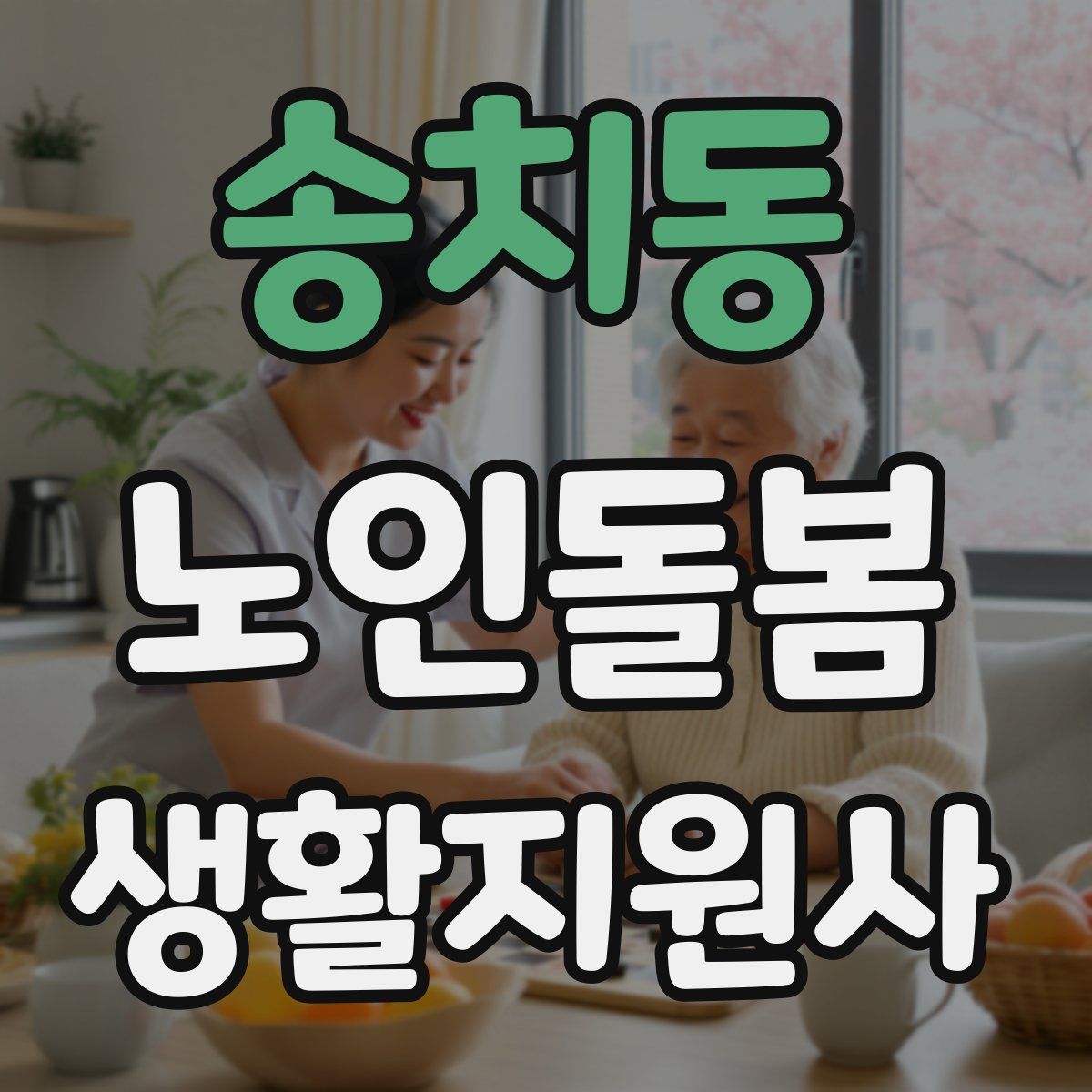 송치동 노인돌봄생활지원사 자격증