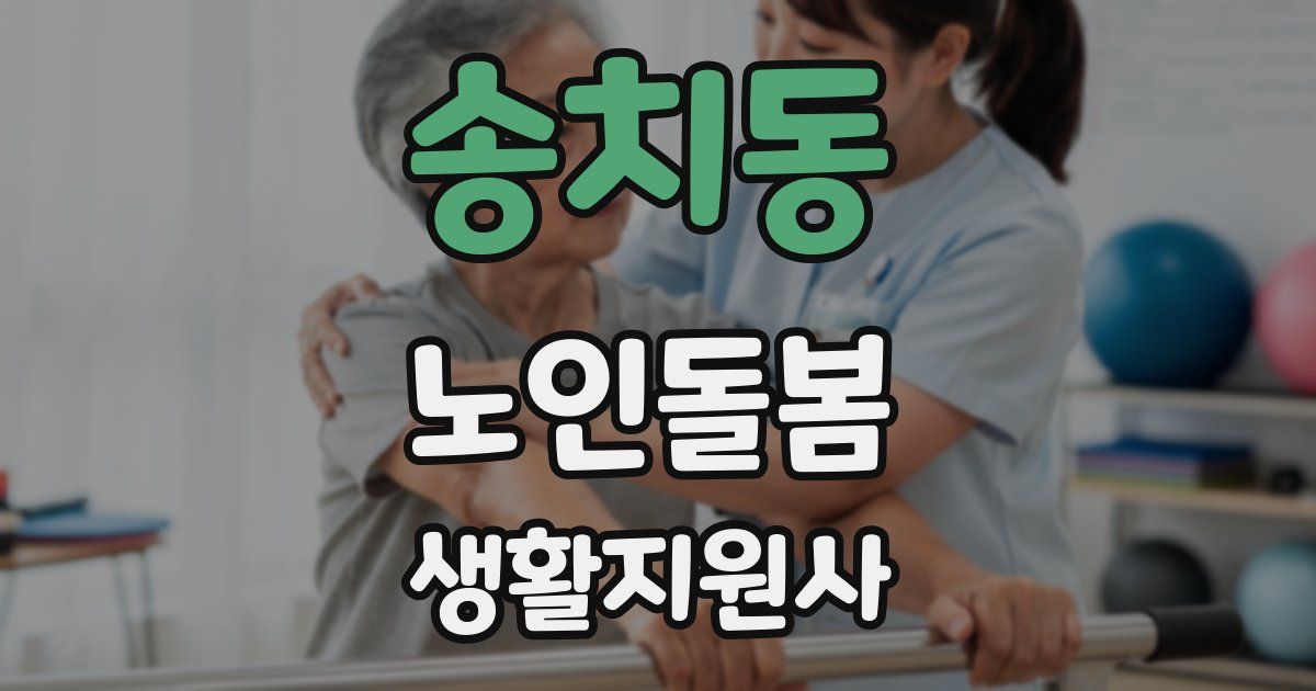 송치동 노인돌봄생활지원사 자격증
