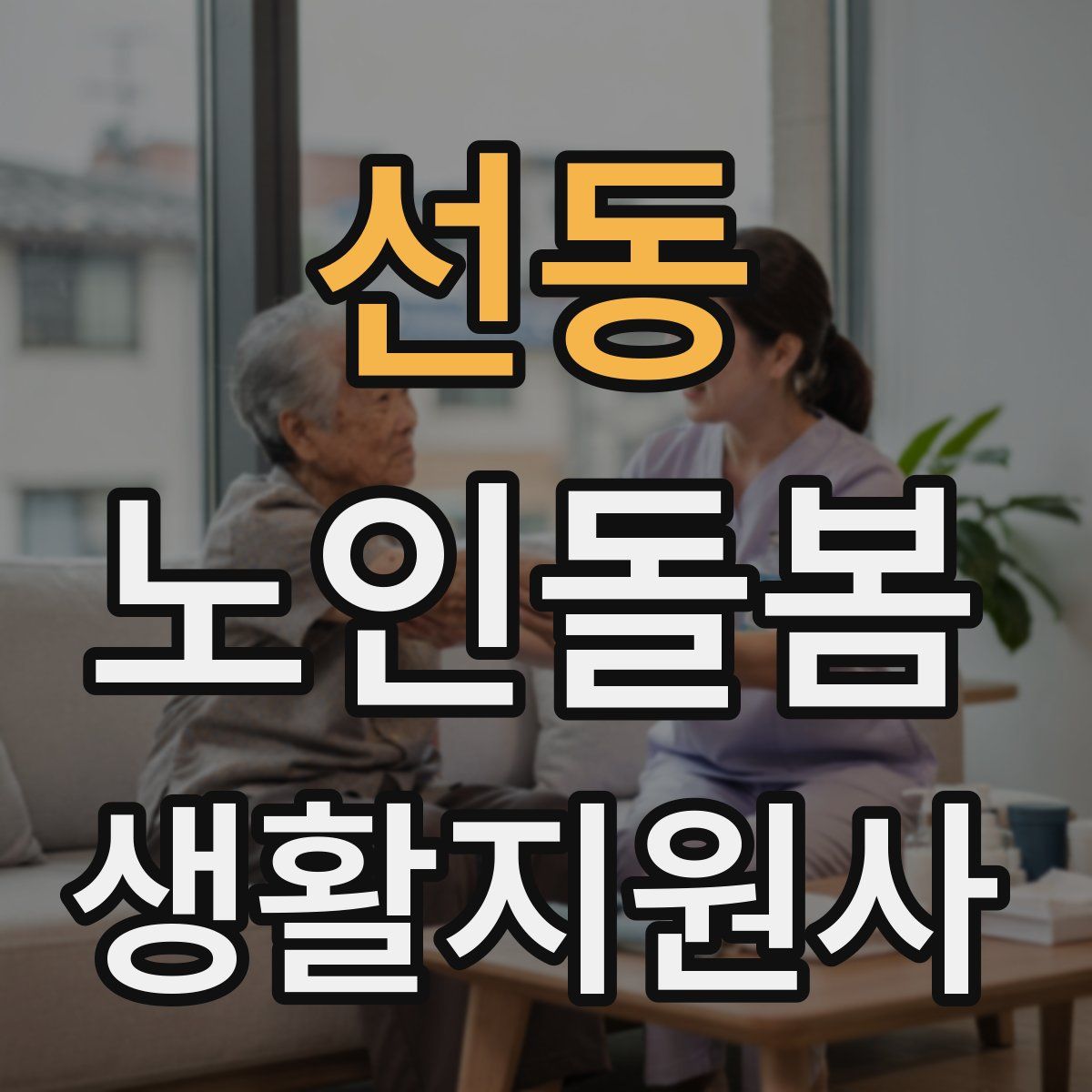 선동 노인돌봄생활지원사 자격증