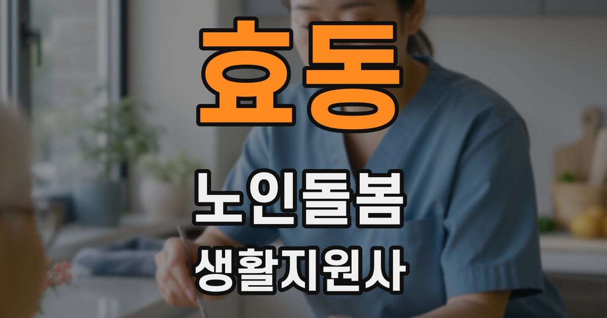 효동 노인돌봄생활지원사 자격증