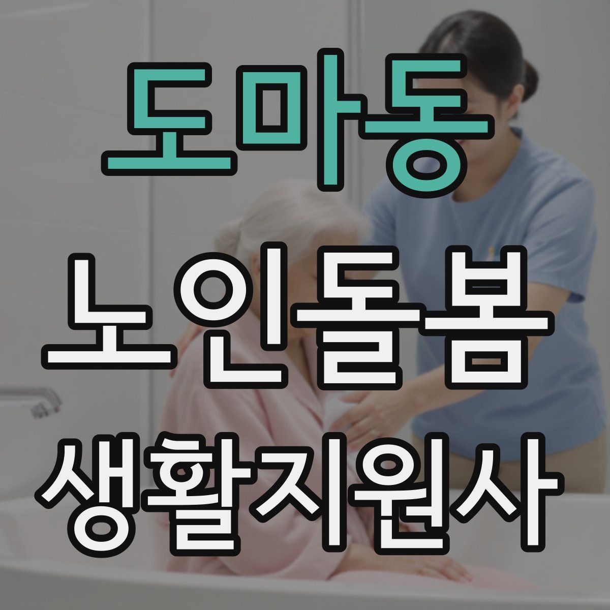 도마동 노인돌봄생활지원사 자격증