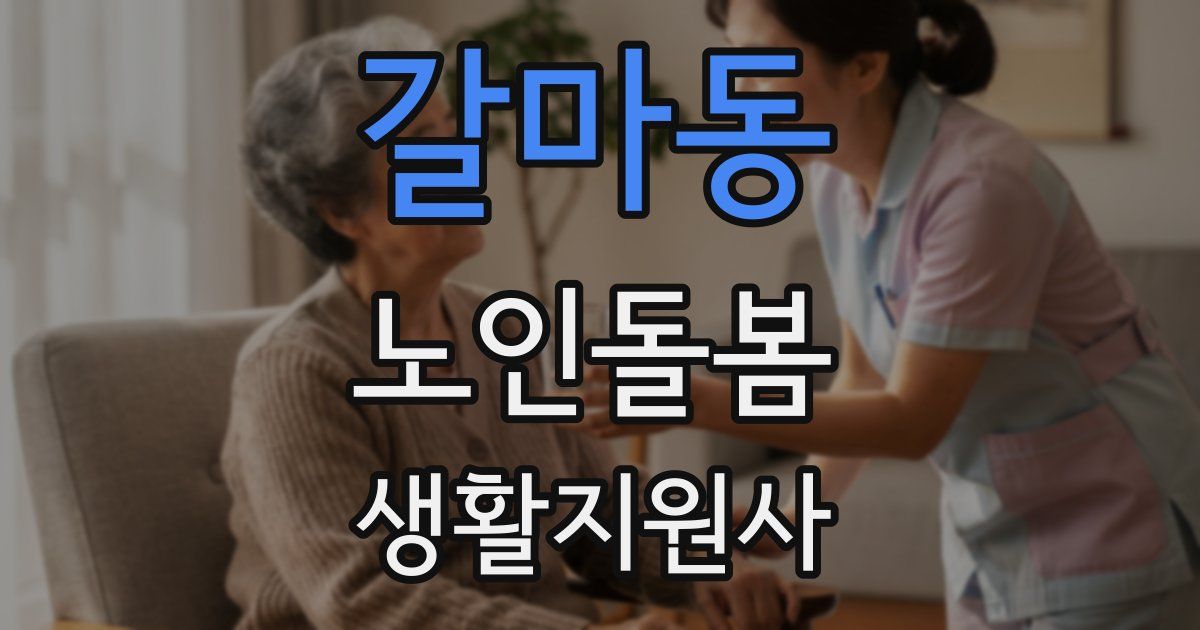 갈마동 노인돌봄생활지원사 자격증