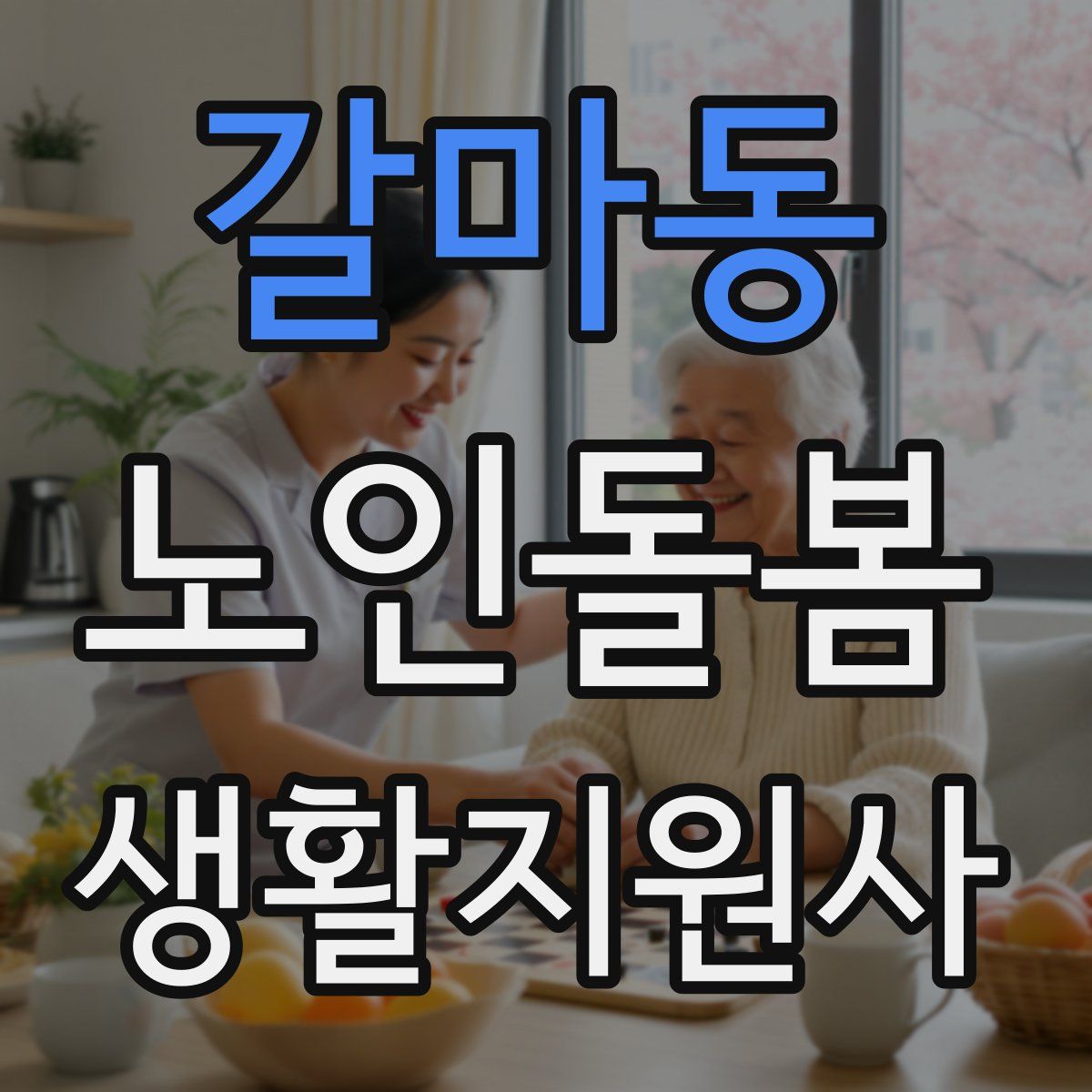 갈마동 노인돌봄생활지원사 자격증