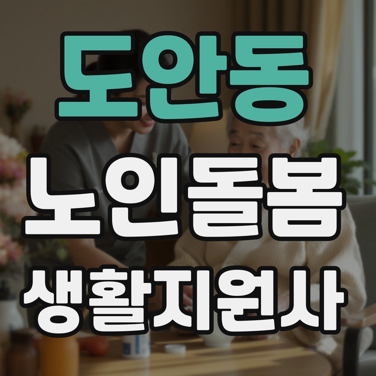 도안동 노인돌봄생활지원사 자격증