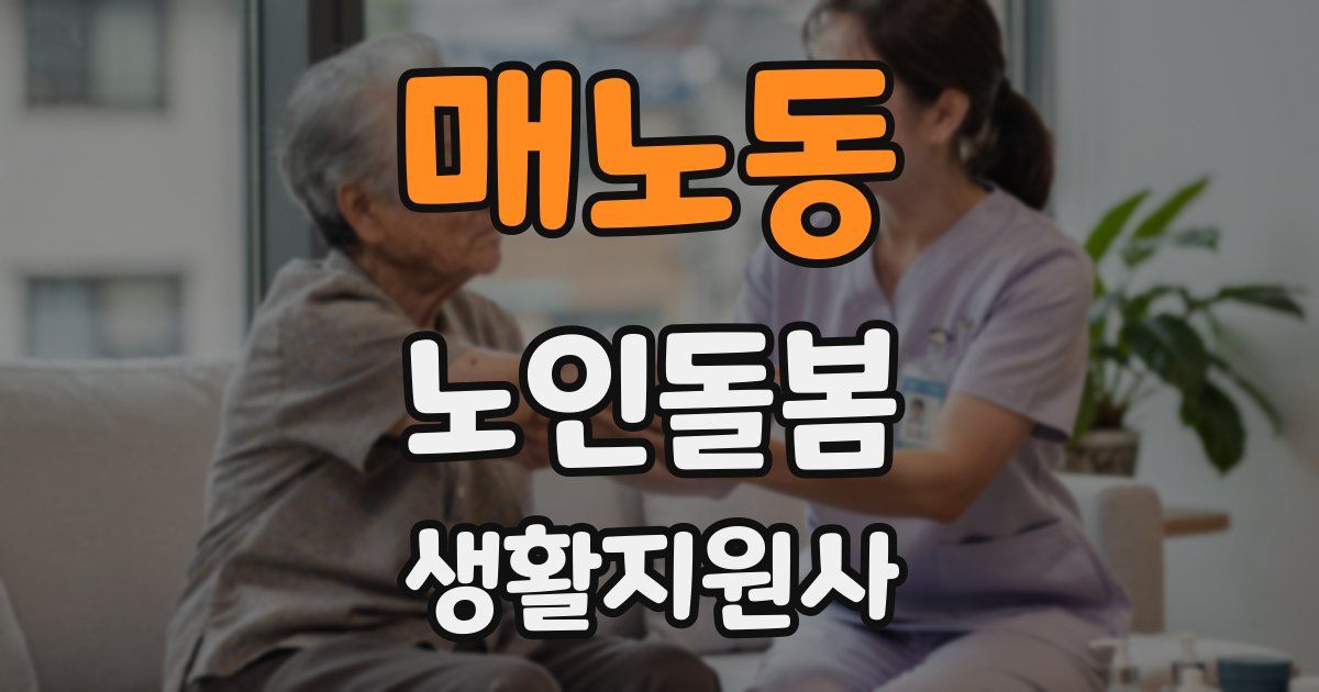 매노동 노인돌봄생활지원사 자격증