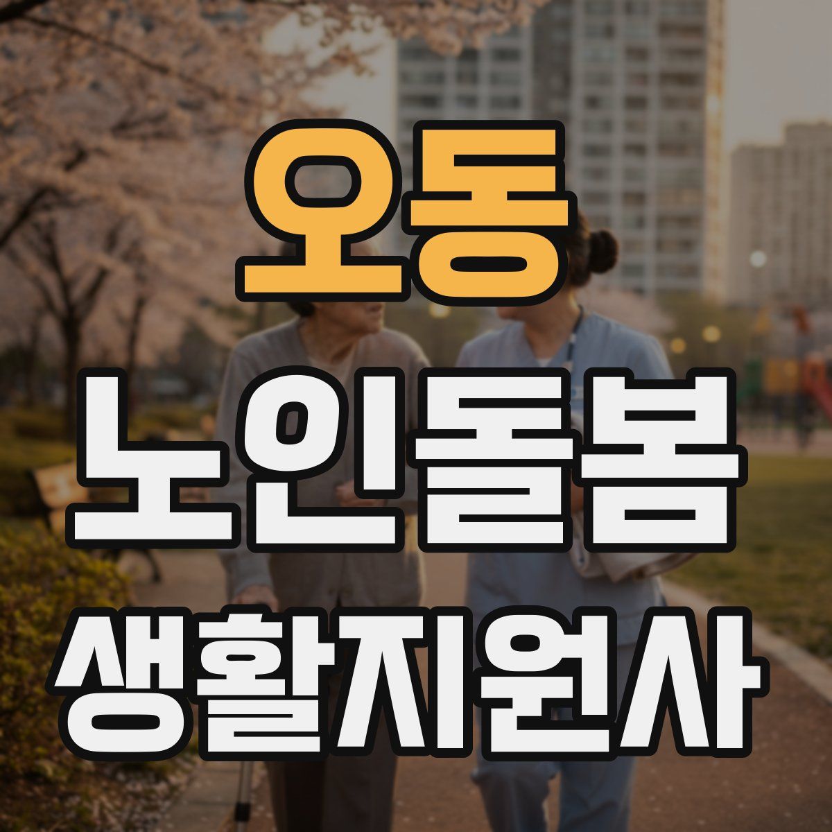 오동 노인돌봄생활지원사 자격증