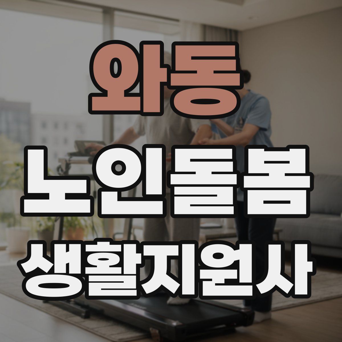 와동 노인돌봄생활지원사 자격증