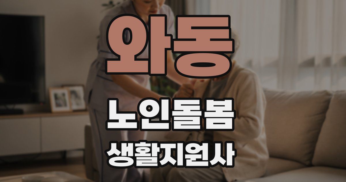 와동 노인돌봄생활지원사 자격증