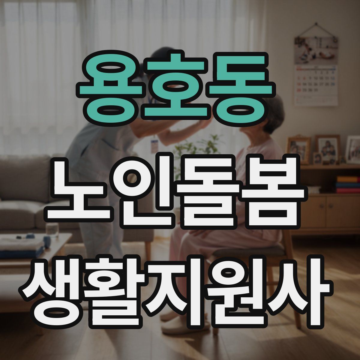 용호동 노인돌봄생활지원사 자격증