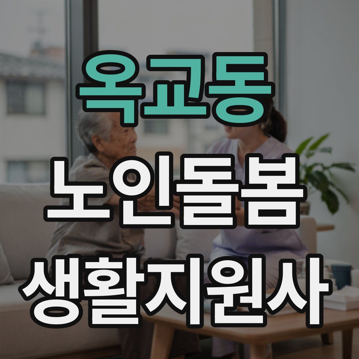 옥교동 노인돌봄생활지원사 자격증
