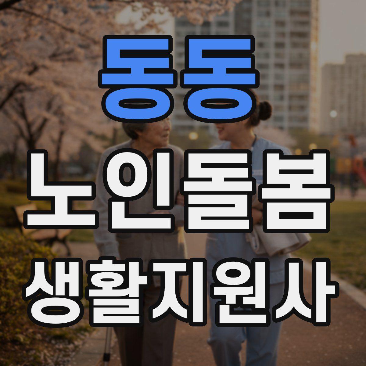 동동 노인돌봄생활지원사 자격증