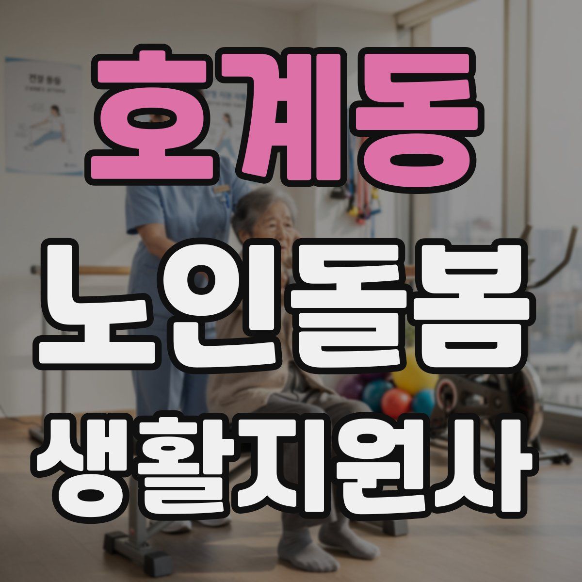 호계동 노인돌봄생활지원사 자격증