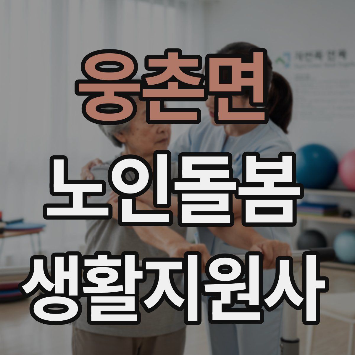 웅촌면 노인돌봄생활지원사 자격증