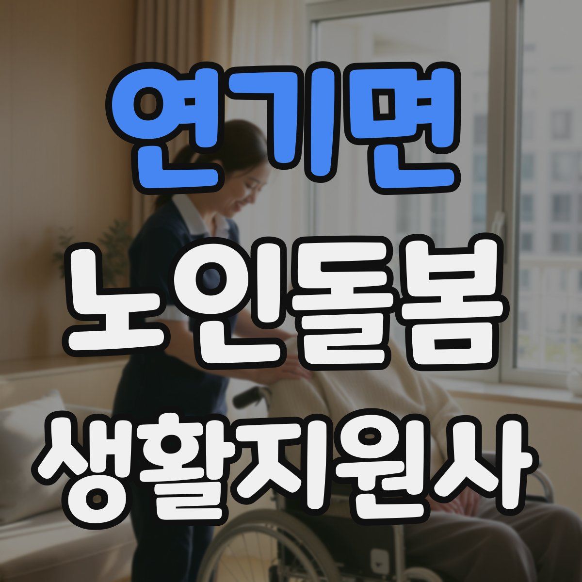 연기면 노인돌봄생활지원사 자격증