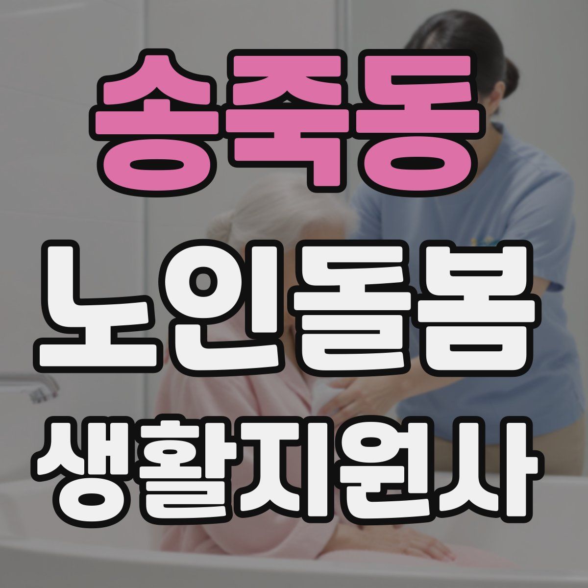 송죽동 노인돌봄생활지원사 자격증