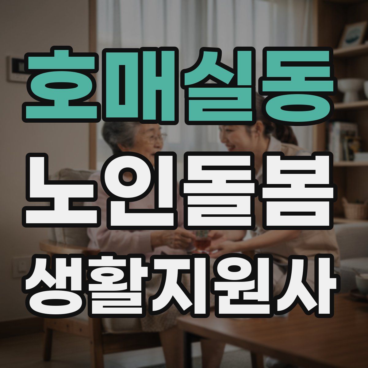 호매실동 노인돌봄생활지원사 자격증