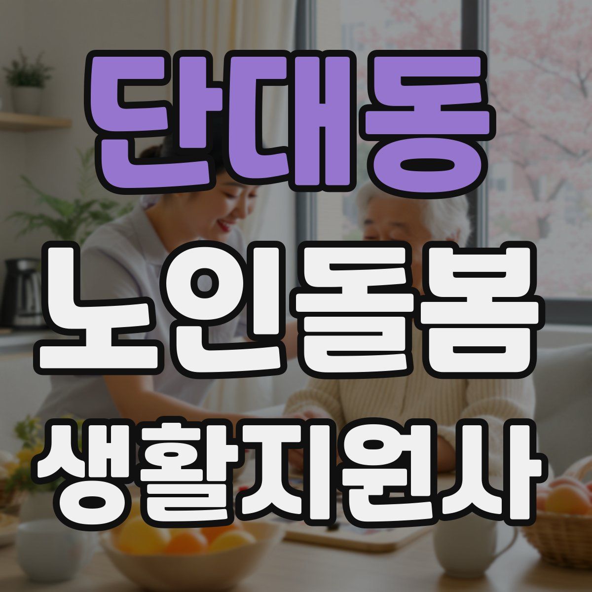 단대동 노인돌봄생활지원사 자격증