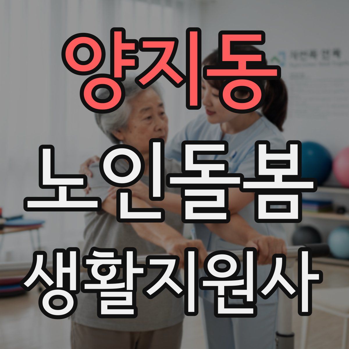 양지동 노인돌봄생활지원사 자격증