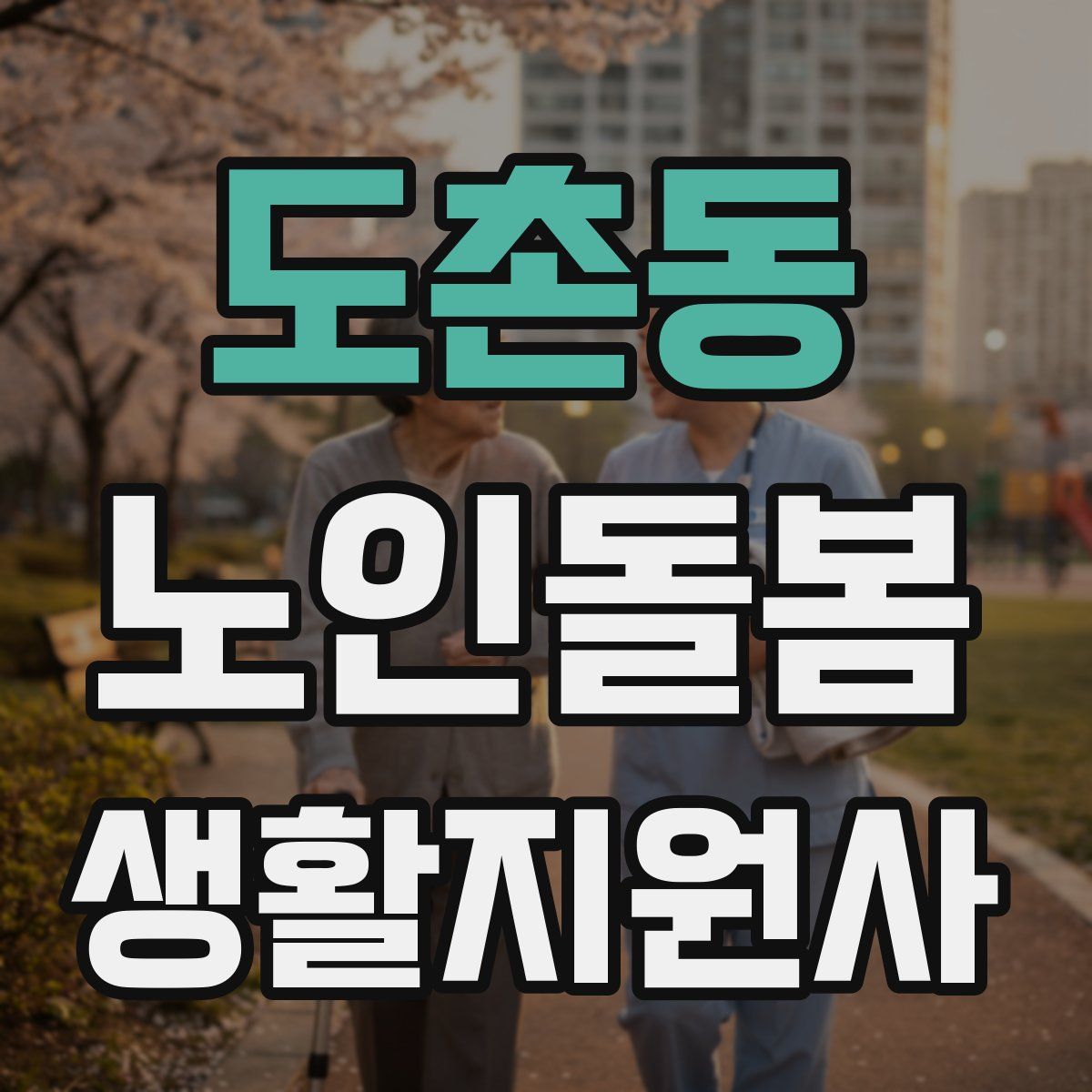 도촌동 노인돌봄생활지원사 자격증