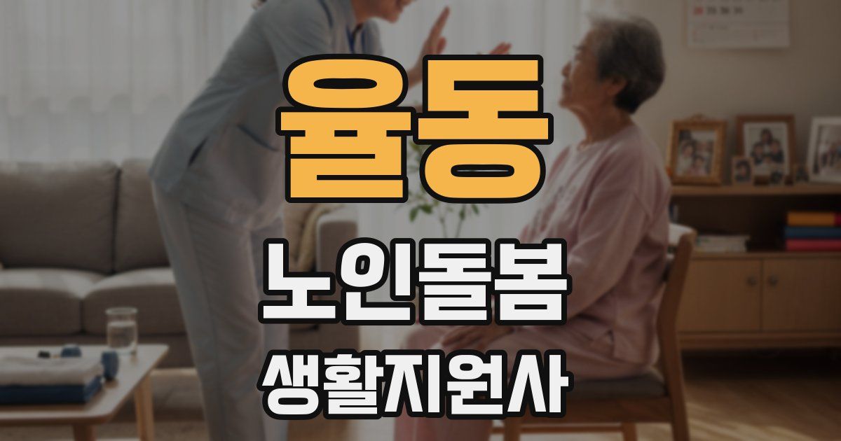 율동 노인돌봄생활지원사 자격증