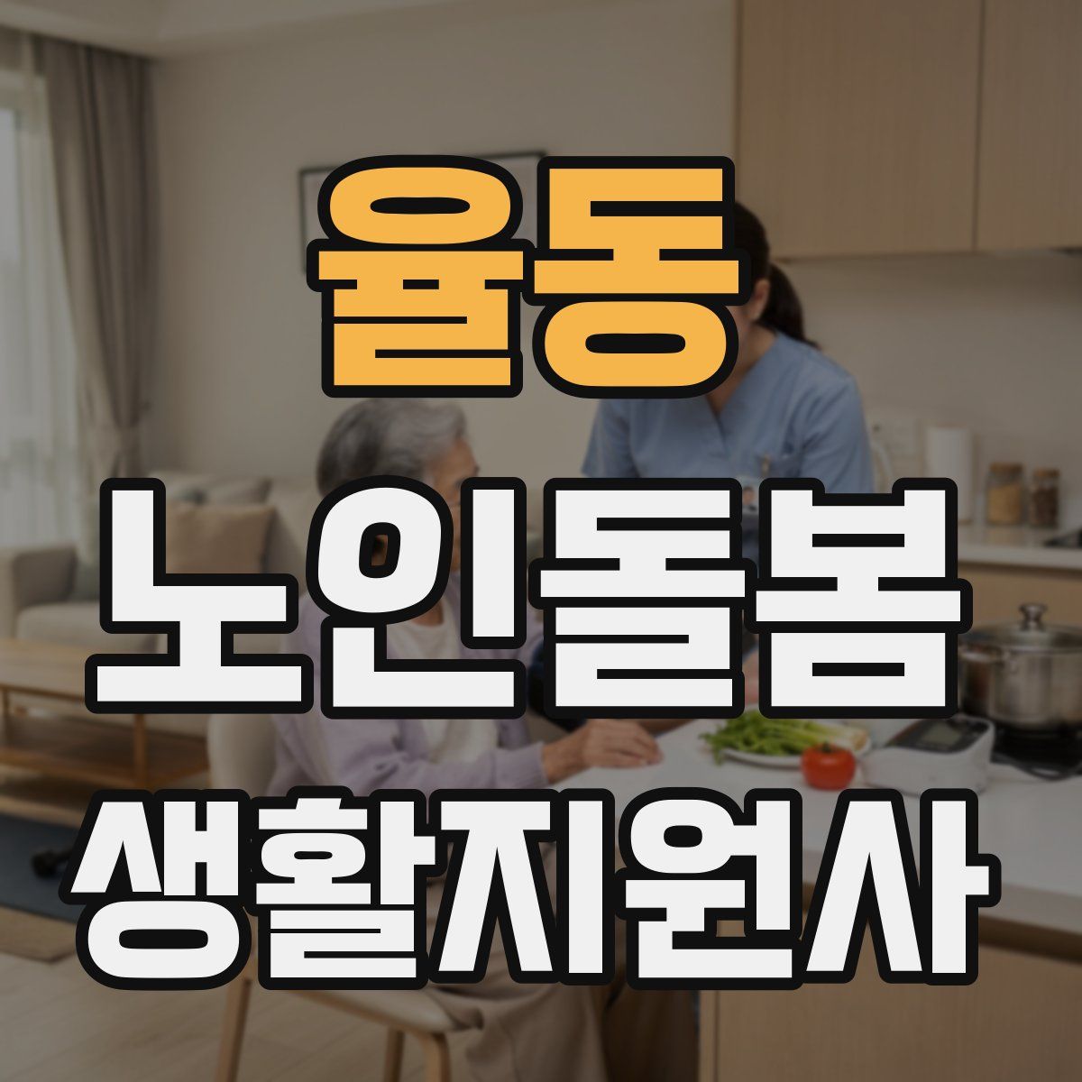 율동 노인돌봄생활지원사 자격증