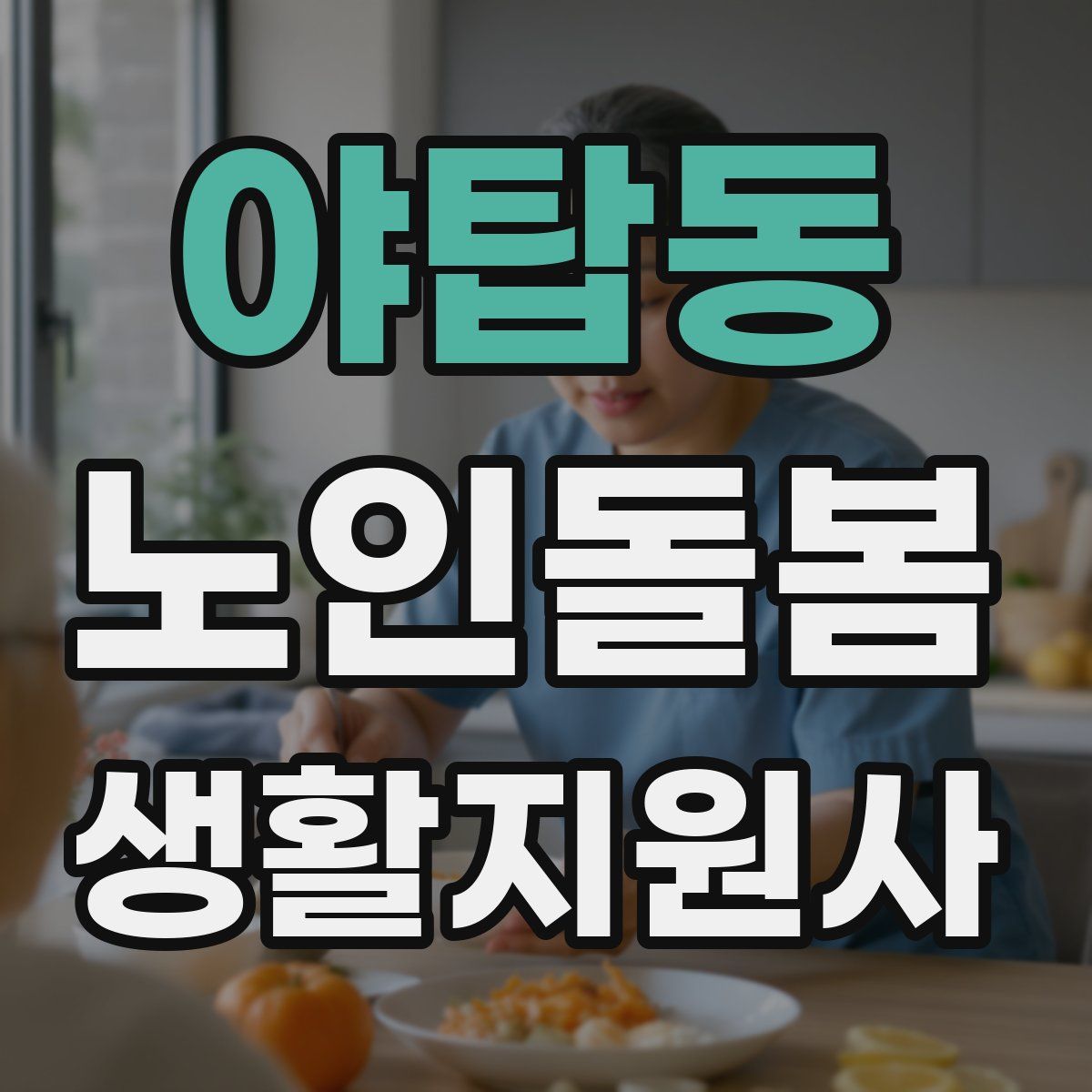 야탑동 노인돌봄생활지원사 자격증