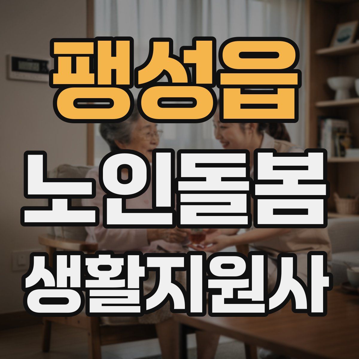 팽성읍 노인돌봄생활지원사 자격증