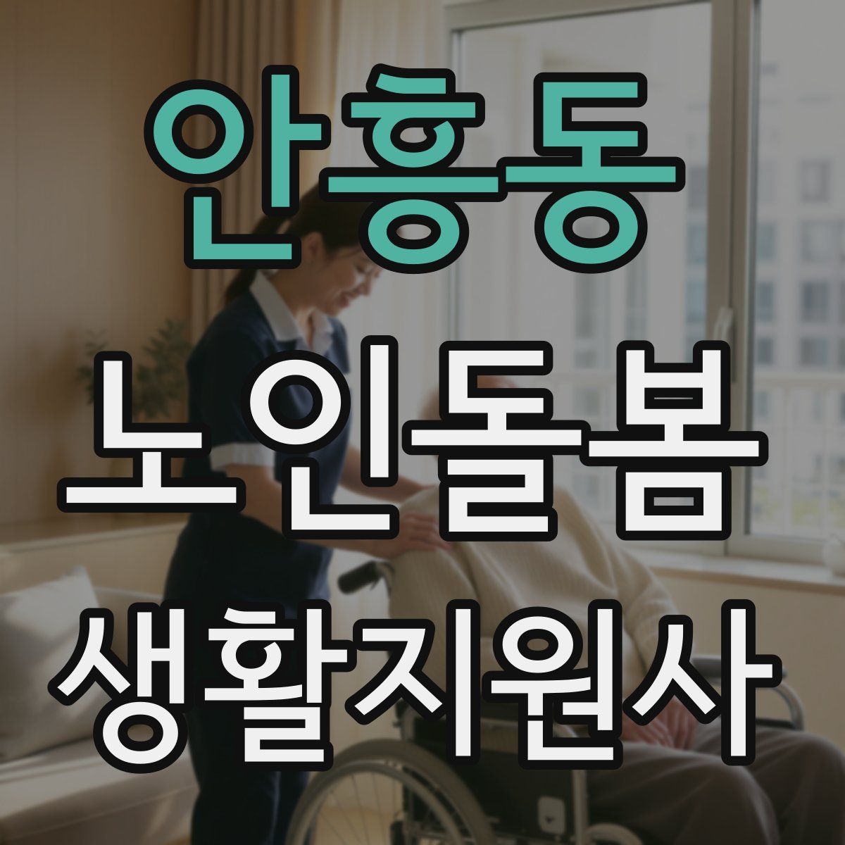 안흥동 노인돌봄생활지원사 자격증