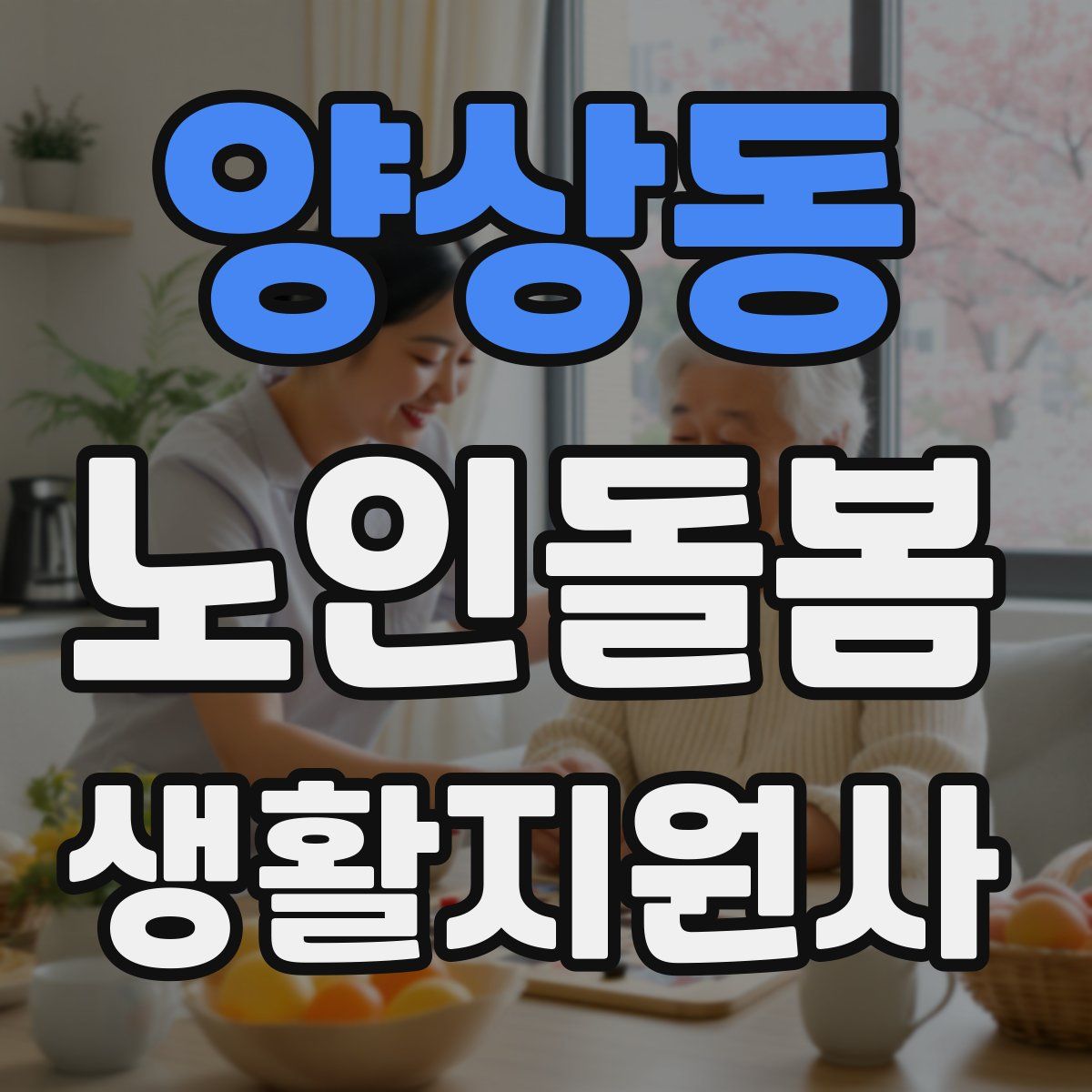 양상동 노인돌봄생활지원사 자격증