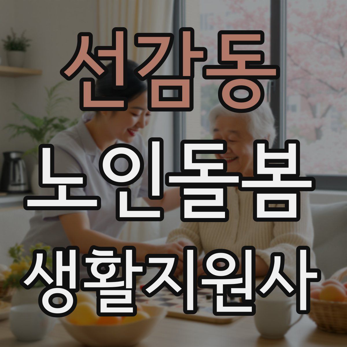 선감동 노인돌봄생활지원사 자격증