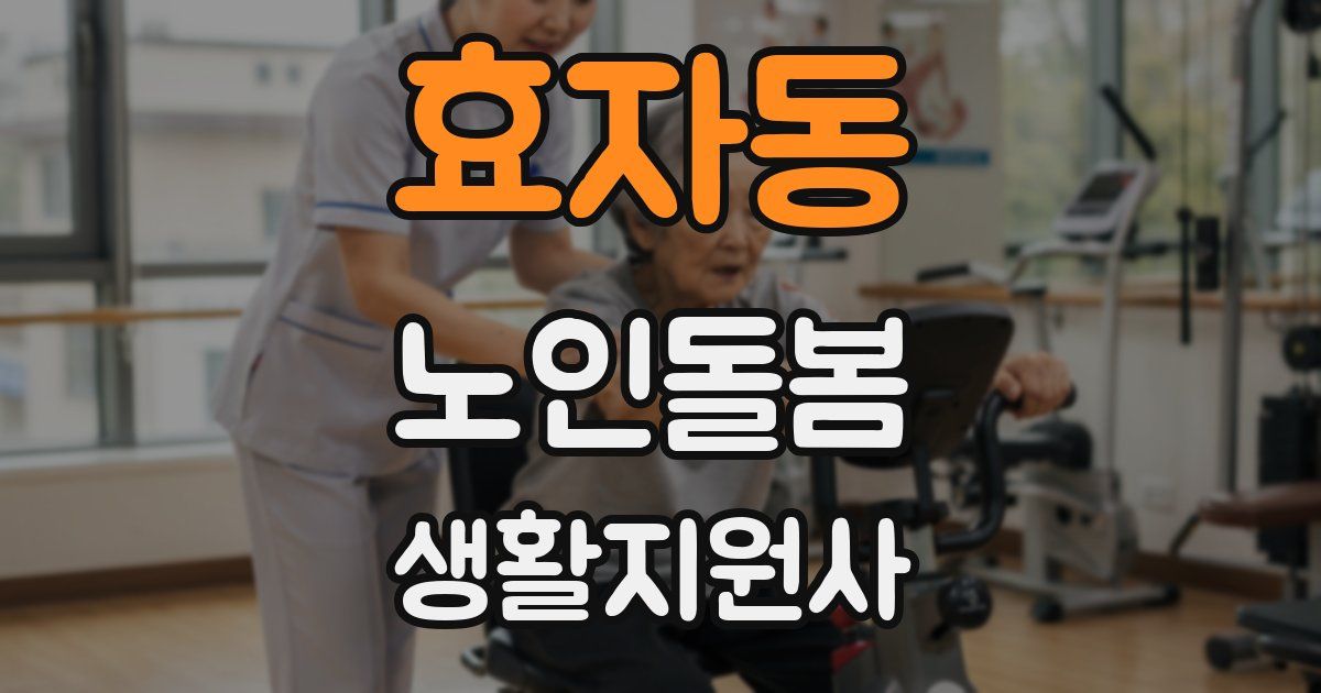 효자동 노인돌봄생활지원사 자격증