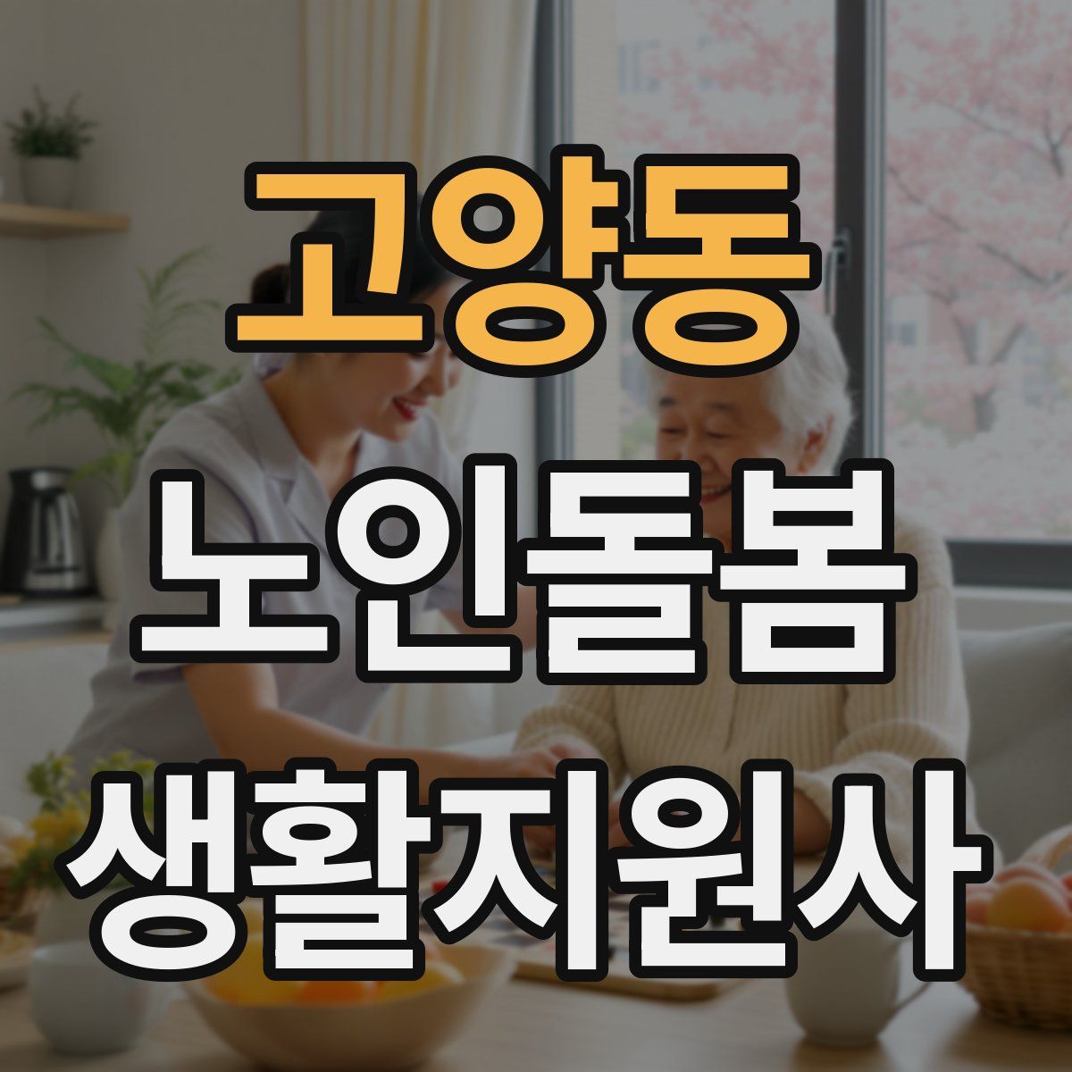 고양동 노인돌봄생활지원사 자격증