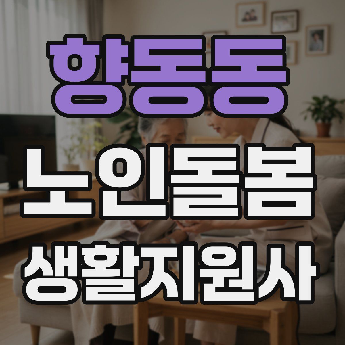 향동동 노인돌봄생활지원사 자격증