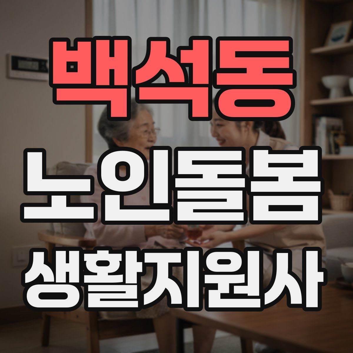 백석동 노인돌봄생활지원사 자격증