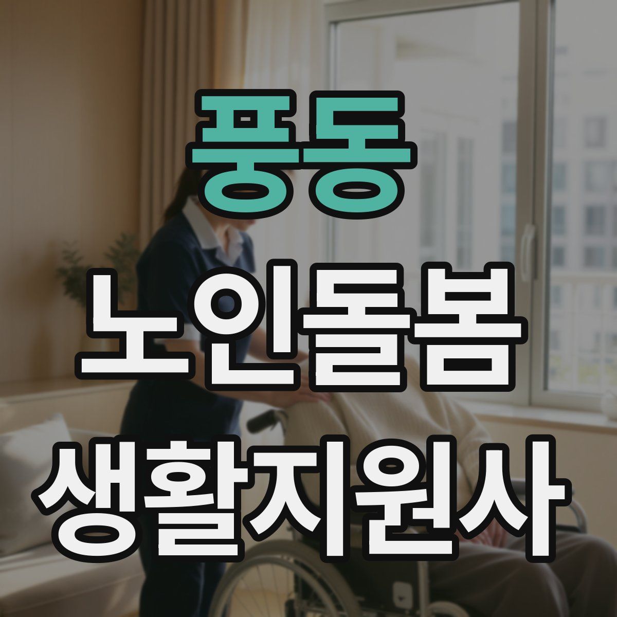 풍동 노인돌봄생활지원사 자격증