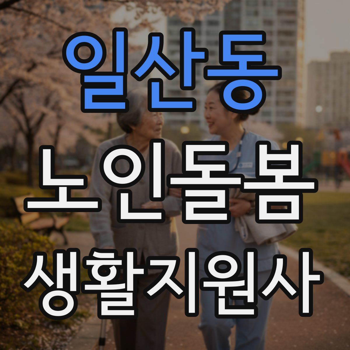 일산동 노인돌봄생활지원사 자격증