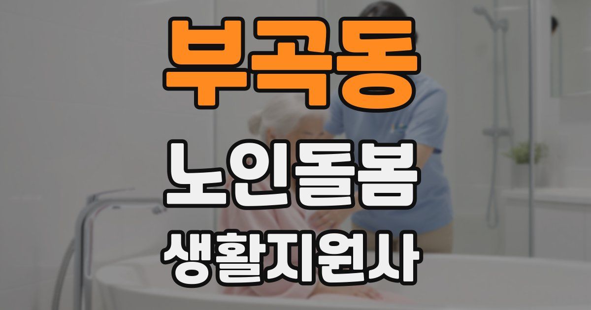 부곡동 노인돌봄생활지원사 자격증
