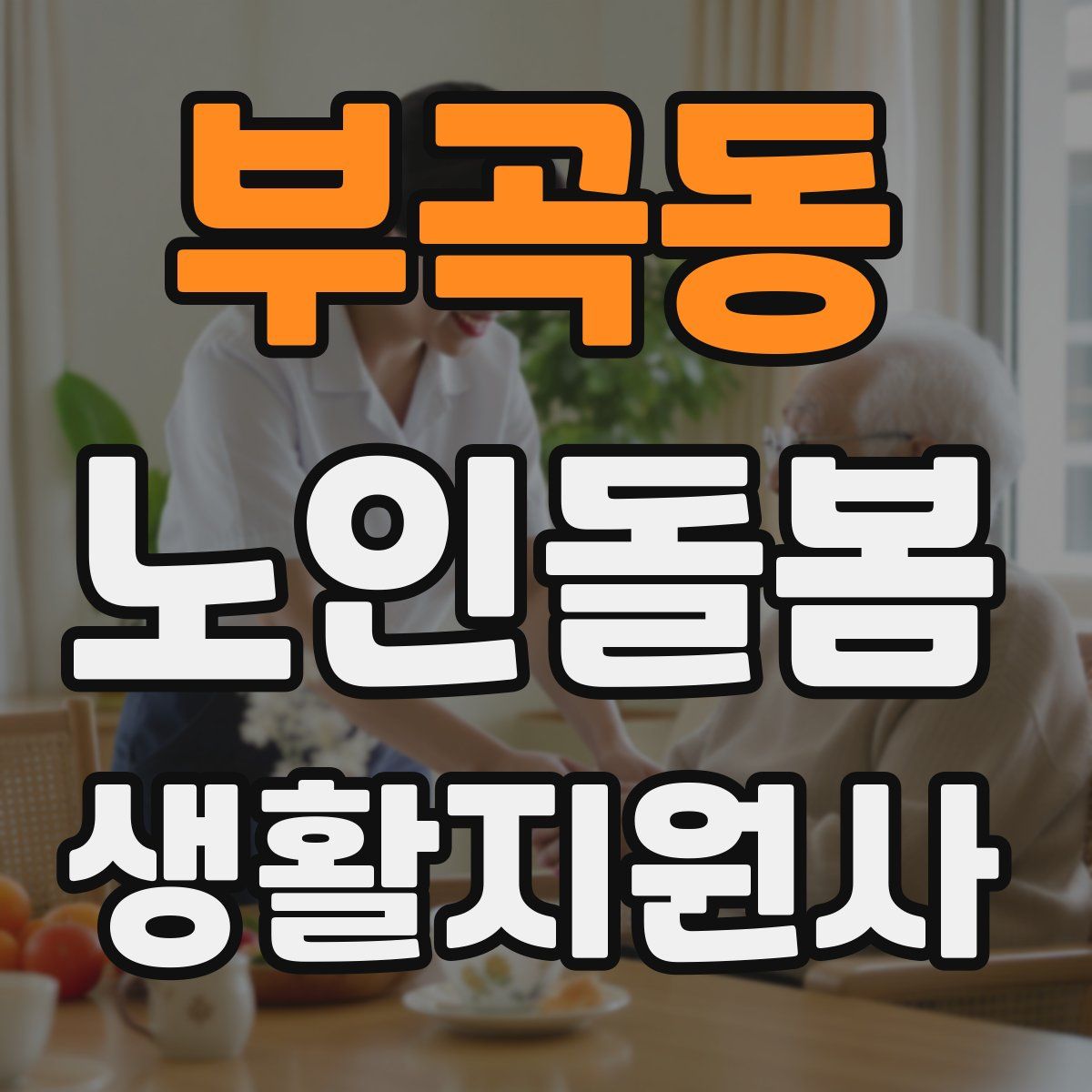 부곡동 노인돌봄생활지원사 자격증