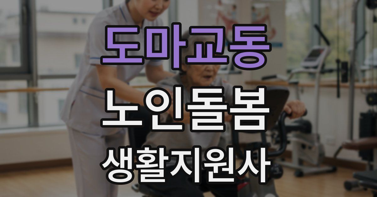 도마교동 노인돌봄생활지원사 자격증