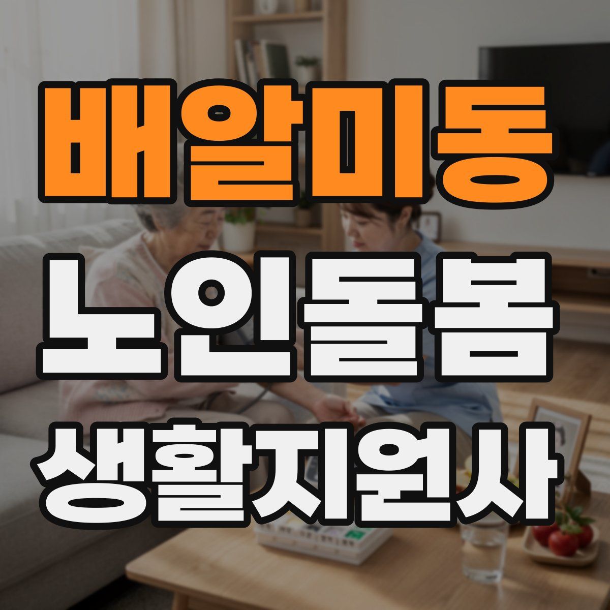 배알미동 노인돌봄생활지원사 자격증