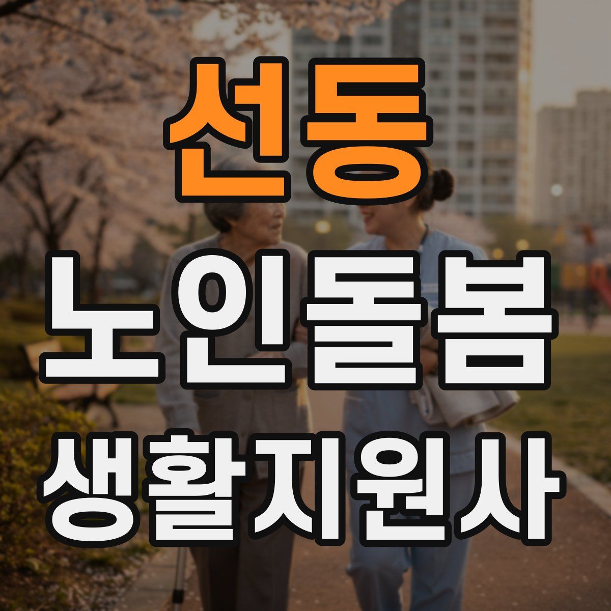 선동 노인돌봄생활지원사 자격증