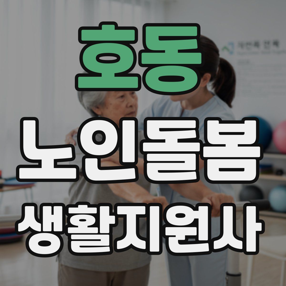 호동 노인돌봄생활지원사 자격증