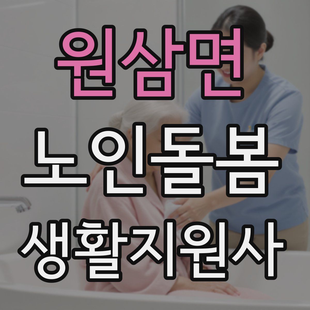 원삼면 노인돌봄생활지원사 자격증