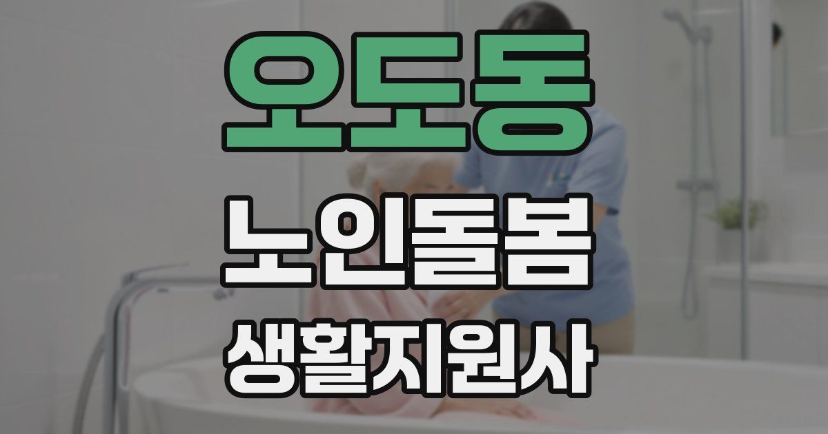 오도동 노인돌봄생활지원사 자격증
