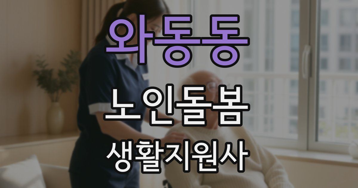 와동동 노인돌봄생활지원사 자격증