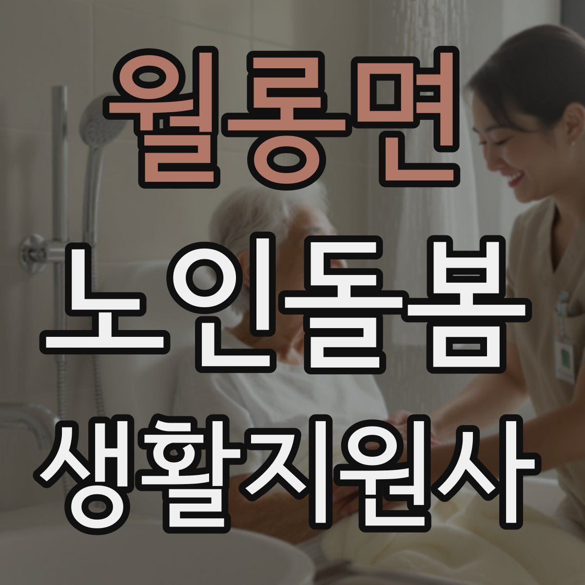 월롱면 노인돌봄생활지원사 자격증