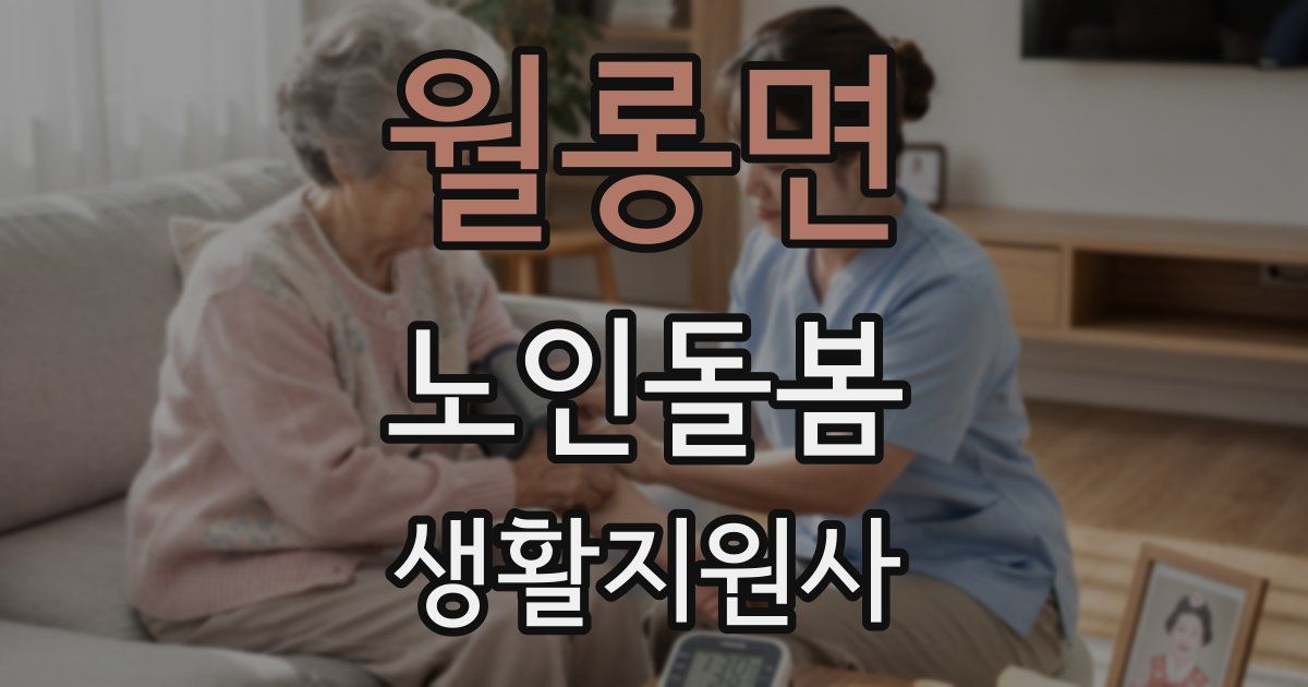 월롱면 노인돌봄생활지원사 자격증