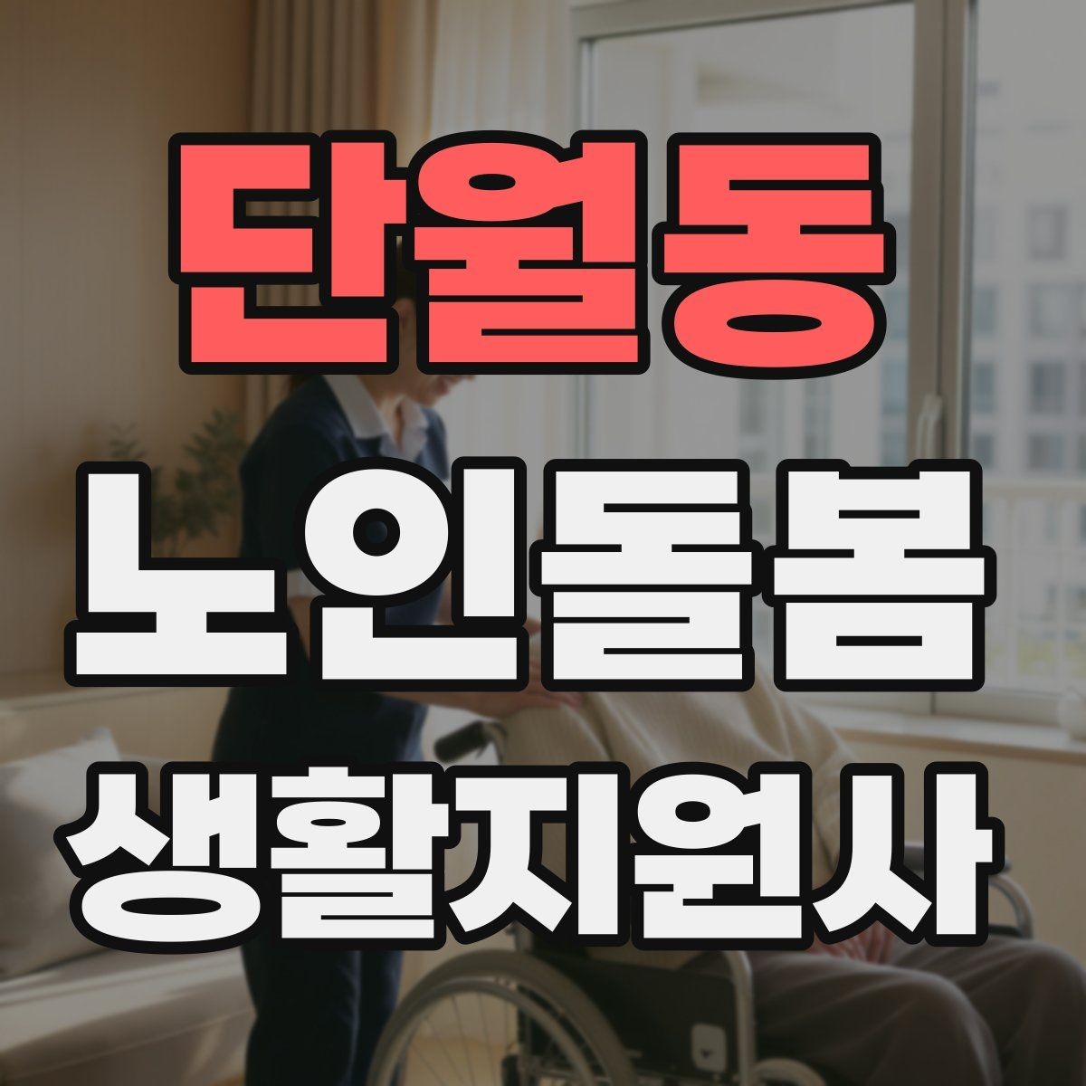 단월동 노인돌봄생활지원사 자격증 실전 중심으로 준비하는 공부 방법
