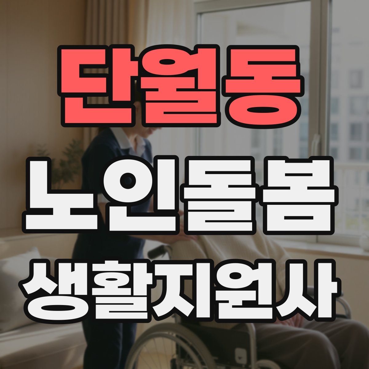단월동 노인돌봄생활지원사 자격증